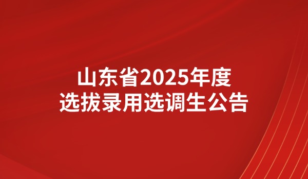 山东省2025年度选拔录用选调生公告